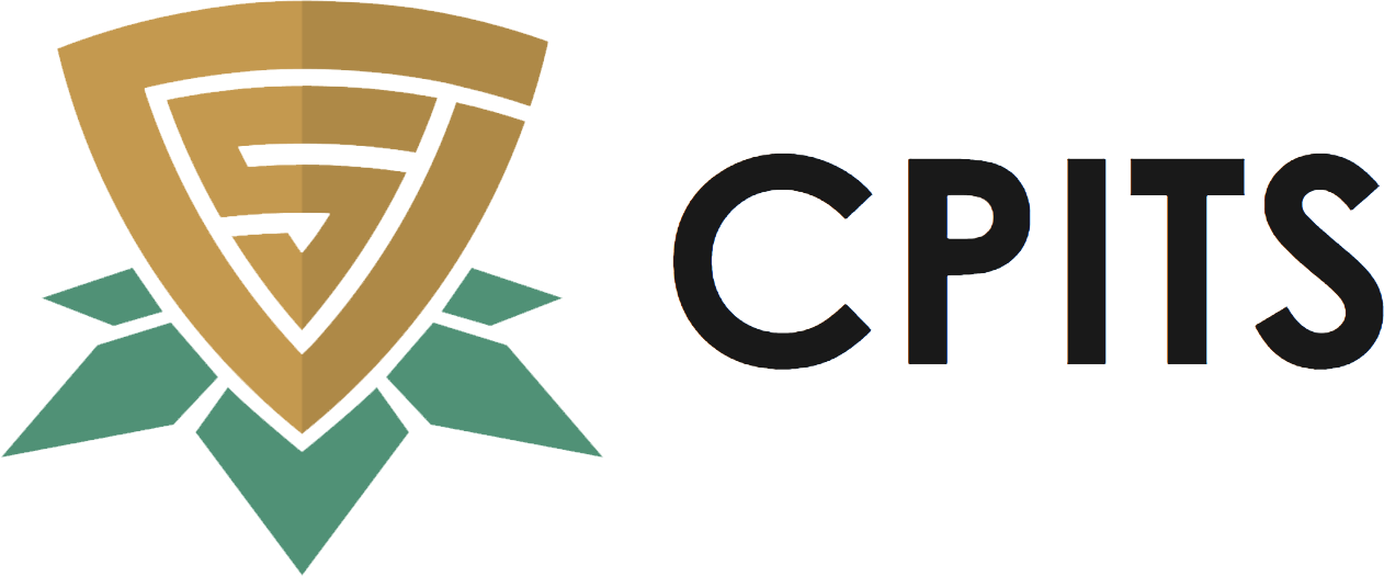 CPITS 2024